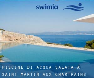 Piscine Di Acqua salata a Saint-Martin-aux-Chartrains