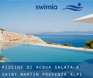 Piscine Di Acqua salata a Saint-Martin (Provenza-Alpi-Costa Azzurra)