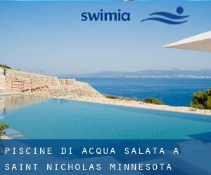 Piscine Di Acqua salata a Saint Nicholas (Minnesota)