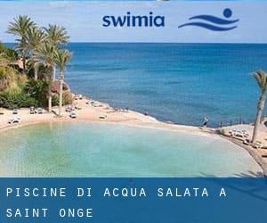 Piscine Di Acqua salata a Saint Onge