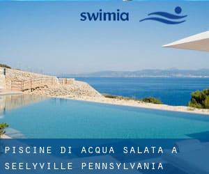 Piscine Di Acqua salata a Seelyville (Pennsylvania)