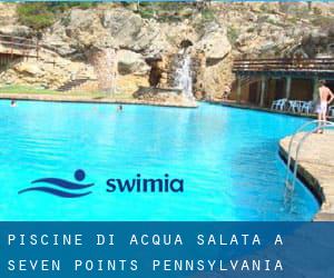 Piscine Di Acqua salata a Seven Points (Pennsylvania)