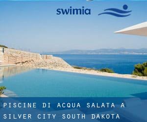 Piscine Di Acqua salata a Silver City (South Dakota)