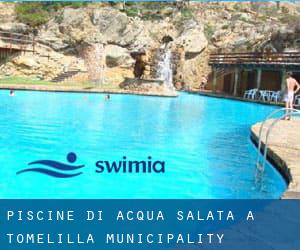 Piscine Di Acqua salata a Tomelilla Municipality