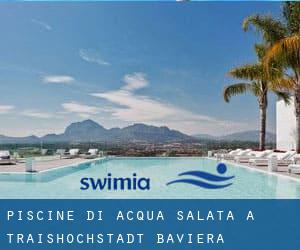 Piscine Di Acqua salata a Traishöchstädt (Baviera)