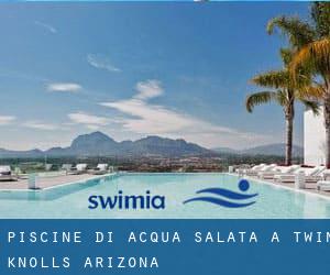 Piscine Di Acqua salata a Twin Knolls (Arizona)