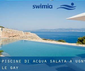 Piscine Di Acqua salata a Ugny-le-Gay