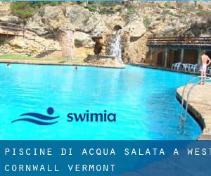 Piscine Di Acqua salata a West Cornwall (Vermont)