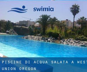 Piscine Di Acqua salata a West Union (Oregon)