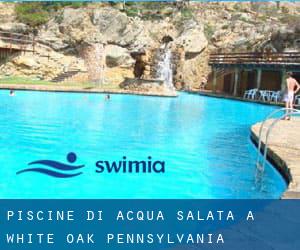 Piscine Di Acqua salata a White Oak (Pennsylvania)