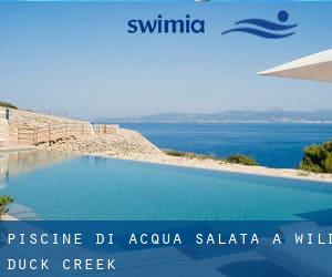 Piscine Di Acqua salata a Wild Duck Creek