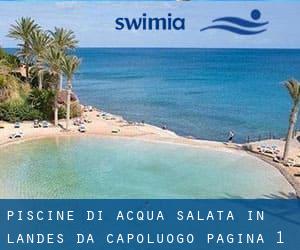 Piscine Di Acqua salata in Landes da Capoluogo - pagina 1