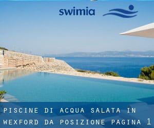 Piscine Di Acqua salata in Wexford da Posizione - pagina 1