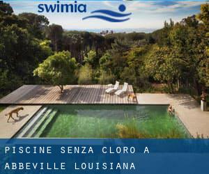 Piscine Senza cloro a Abbeville (Louisiana)