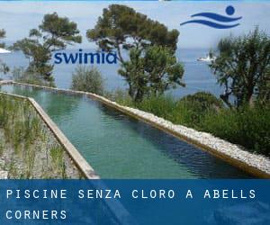 Piscine Senza cloro a Abells Corners