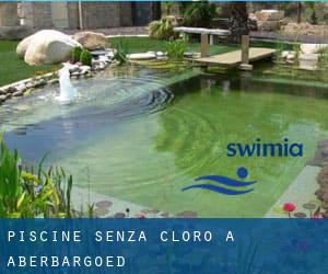 Piscine Senza cloro a Aberbargoed