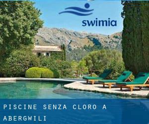 Piscine Senza cloro a Abergwili