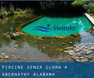 Piscine Senza cloro a Abernathy (Alabama)