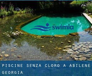 Piscine Senza cloro a Abilene (Georgia)