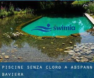 Piscine Senza cloro a Abspann (Baviera)