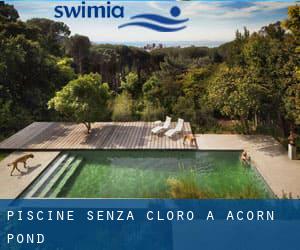 Piscine Senza cloro a Acorn Pond