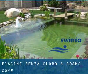 Piscine Senza cloro a Adams Cove