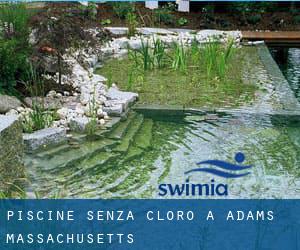 Piscine Senza cloro a Adams (Massachusetts)