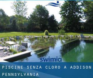 Piscine Senza cloro a Addison (Pennsylvania)