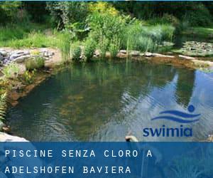 Piscine Senza cloro a Adelshofen (Baviera)