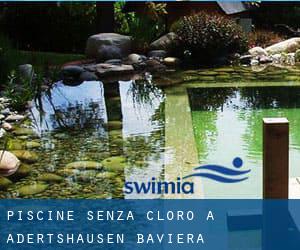 Piscine Senza cloro a Adertshausen (Baviera)