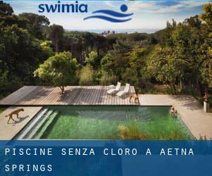 Piscine Senza cloro a Aetna Springs