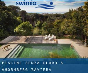 Piscine Senza cloro a Ahornberg (Baviera)