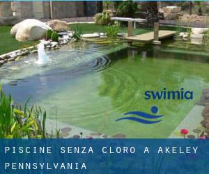 Piscine Senza cloro a Akeley (Pennsylvania)