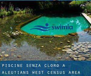 Piscine Senza cloro a Aleutians West Census Area