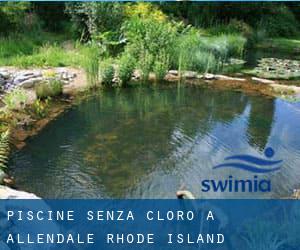 Piscine Senza cloro a Allendale (Rhode Island)