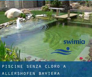 Piscine Senza cloro a Allershofen (Baviera)