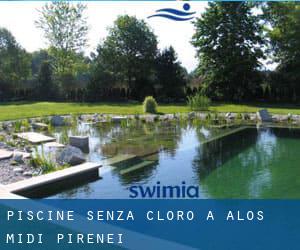 Piscine Senza cloro a Alos (Midi-Pirenei)