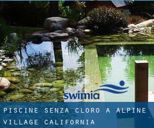 Piscine Senza cloro a Alpine Village (California)