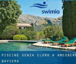 Piscine Senza cloro a Amesberg (Baviera)