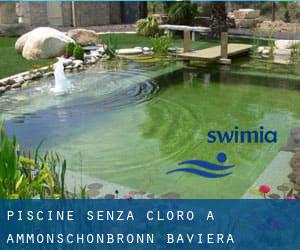 Piscine Senza cloro a Ammonschönbronn (Baviera)