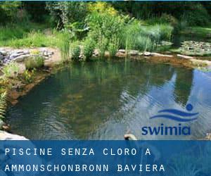 Piscine Senza cloro a Ammonschönbronn (Baviera)