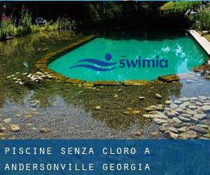 Piscine Senza cloro a Andersonville (Georgia)