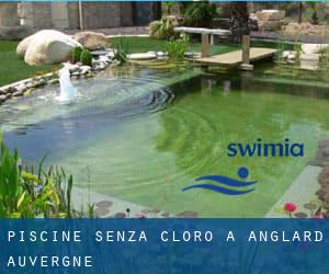 Piscine Senza cloro a Anglard (Auvergne)