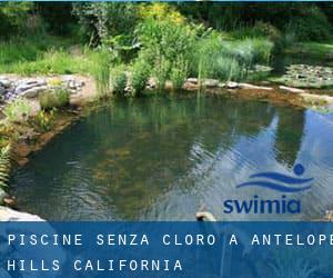 Piscine Senza cloro a Antelope Hills (California)