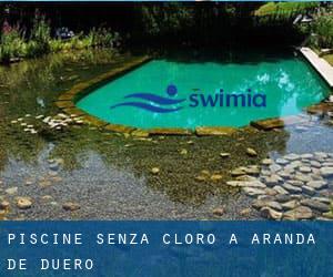 Piscine Senza cloro a Aranda de Duero