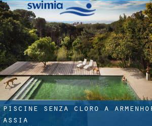 Piscine Senza cloro a Armenhof (Assia)