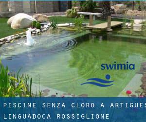 Piscine Senza cloro a Artigues (Linguadoca-Rossiglione)