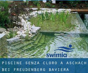 Piscine Senza cloro a Aschach bei Freudenberg (Baviera)