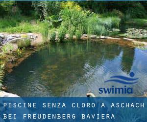 Piscine Senza cloro a Aschach bei Freudenberg (Baviera)