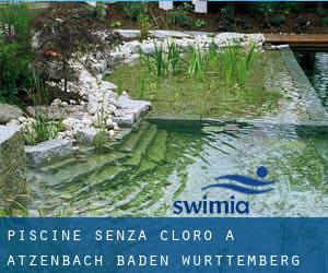 Piscine Senza cloro a Atzenbach (Baden-Württemberg)